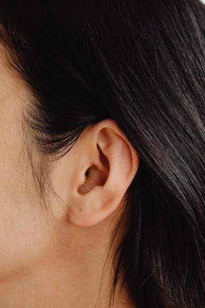 Ear Auricular